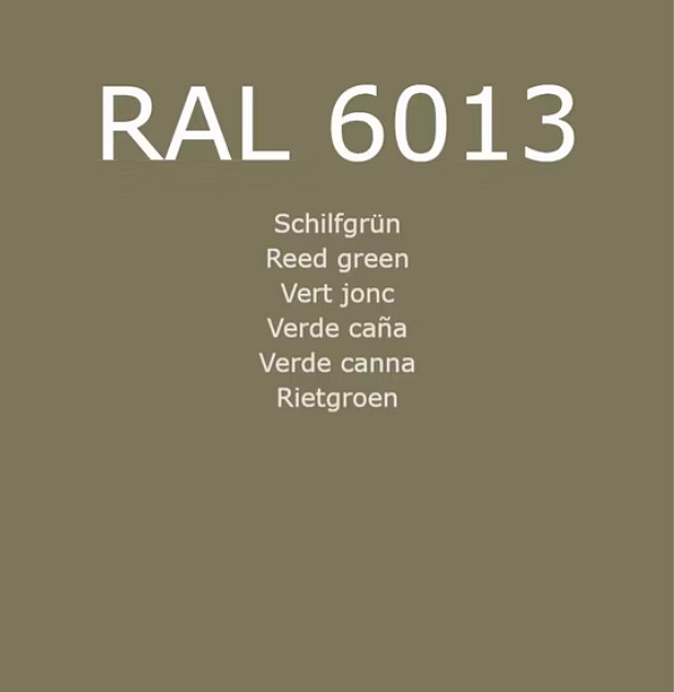 RAL 6013
