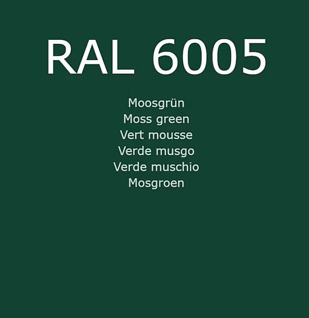 RAL 6005