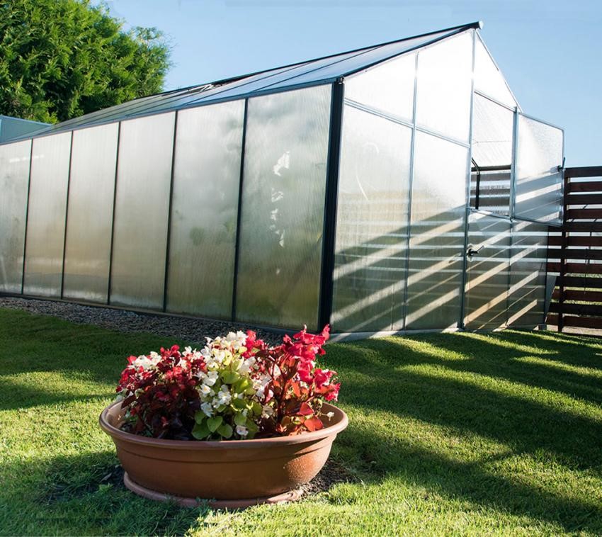 Gampre Aluminium Gewächshaus Sanus XL12 silber mit Pferdetür im Eingang.