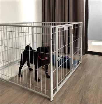 Kleintierauslauf AnimalHome 100 Den, Drinnen, Krippe, Babybett, Hund