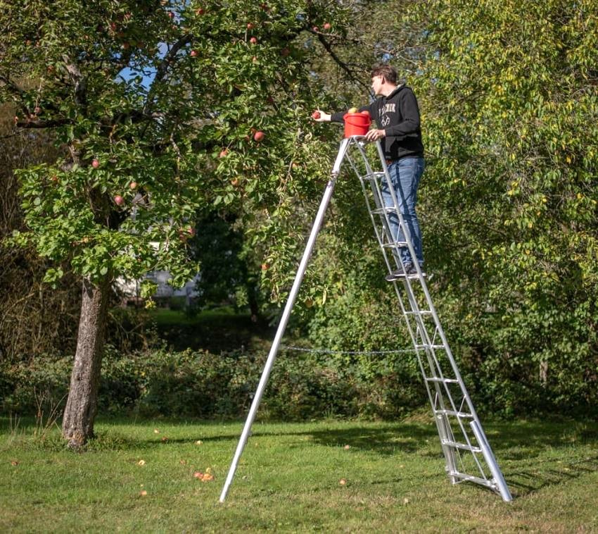 Niwaki 3-Holm-Gartenleiter zur gezielten Verwendung in Hanglagen