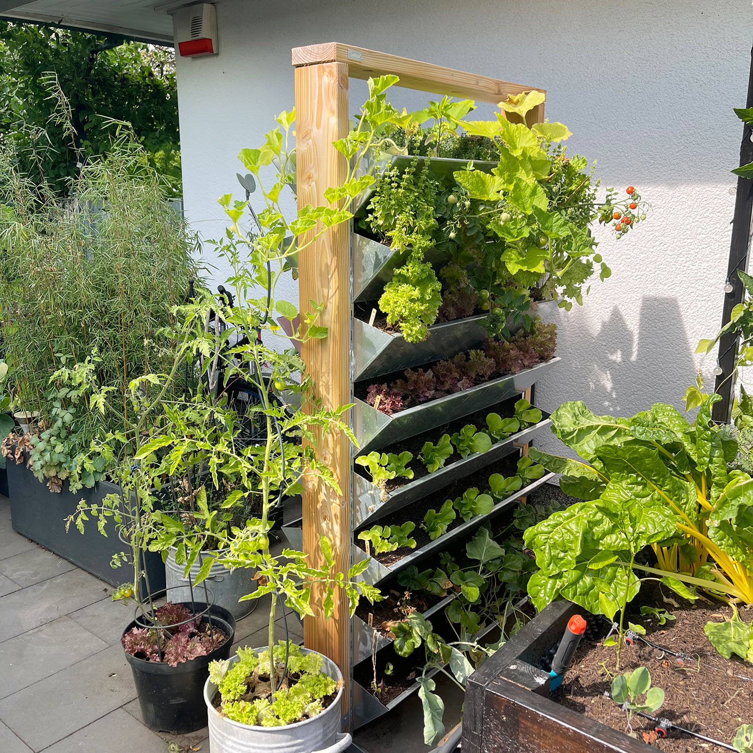 Topfpflanze, Garten, Natur, Pflanzgefäß, Innenarchitektur